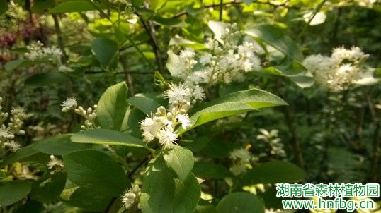 AG旗舰厅(中国游)官方网站