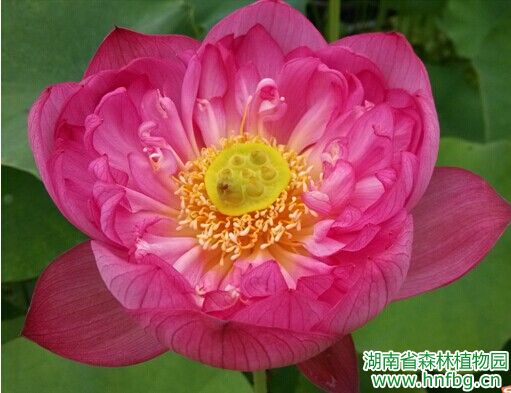 AG旗舰厅(中国游)官方网站