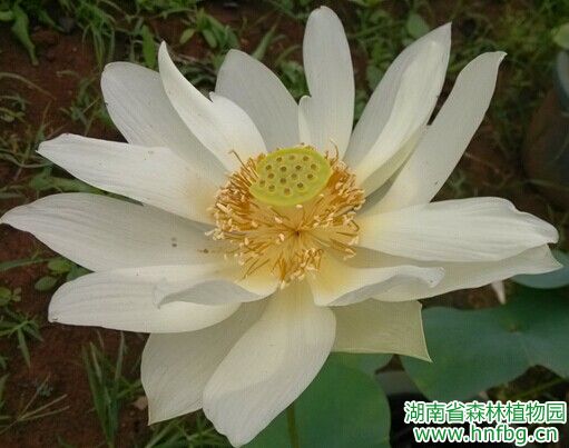 AG旗舰厅(中国游)官方网站