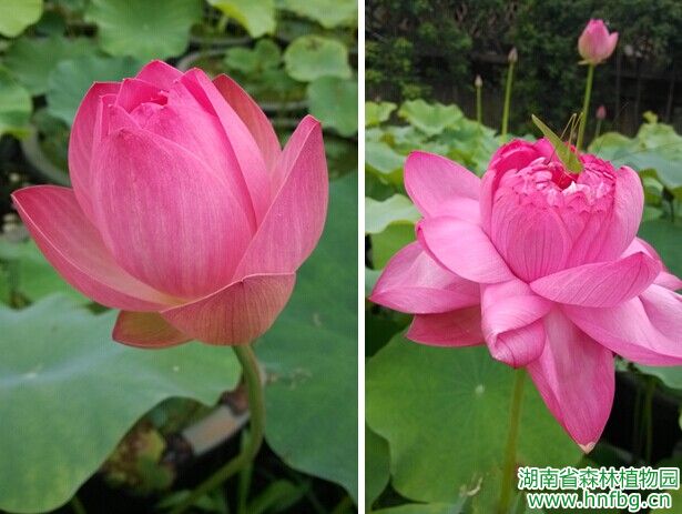 AG旗舰厅(中国游)官方网站