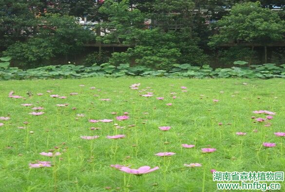 AG旗舰厅(中国游)官方网站