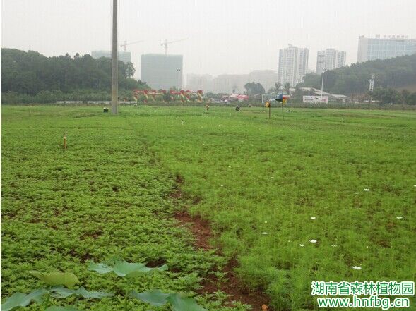 AG旗舰厅(中国游)官方网站