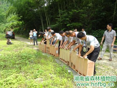 AG旗舰厅(中国游)官方网站