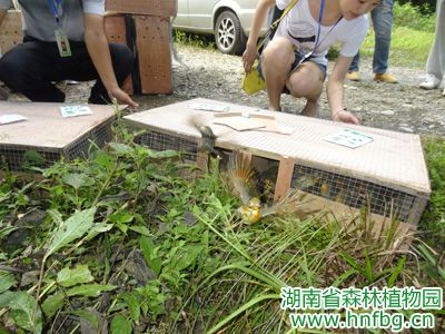 AG旗舰厅(中国游)官方网站