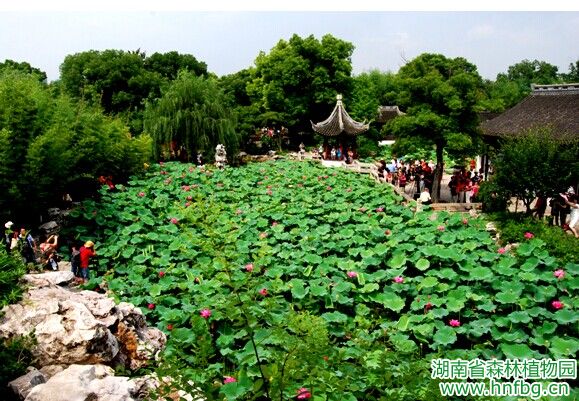AG旗舰厅(中国游)官方网站