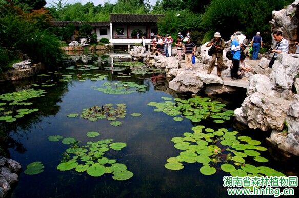AG旗舰厅(中国游)官方网站