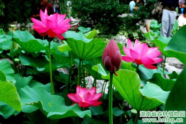 AG旗舰厅(中国游)官方网站