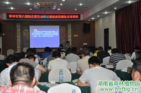 AG旗舰厅(中国游)官方网站