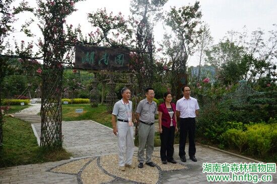 AG旗舰厅(中国游)官方网站