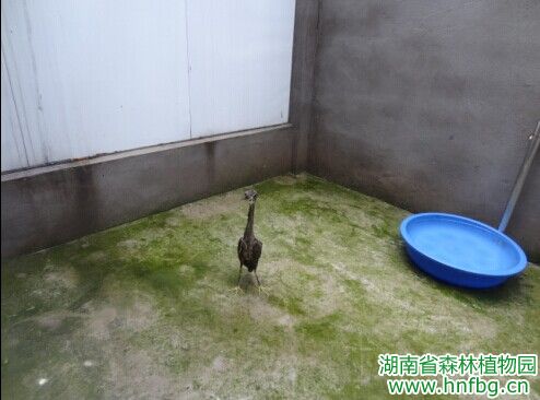 AG旗舰厅(中国游)官方网站