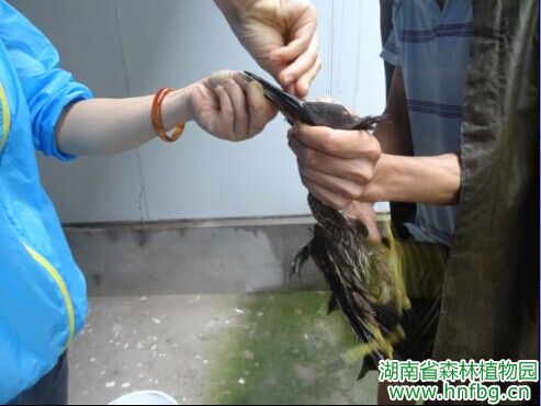 AG旗舰厅(中国游)官方网站