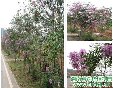 AG旗舰厅(中国游)官方网站