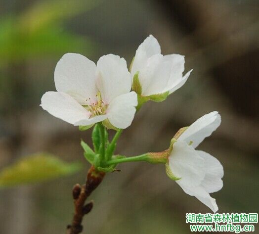 AG旗舰厅(中国游)官方网站