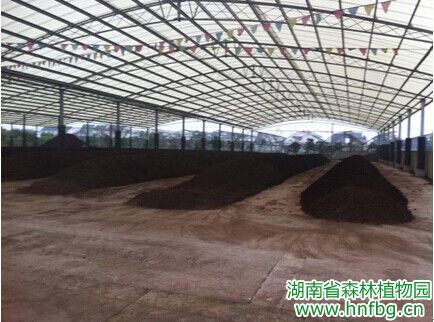 AG旗舰厅(中国游)官方网站