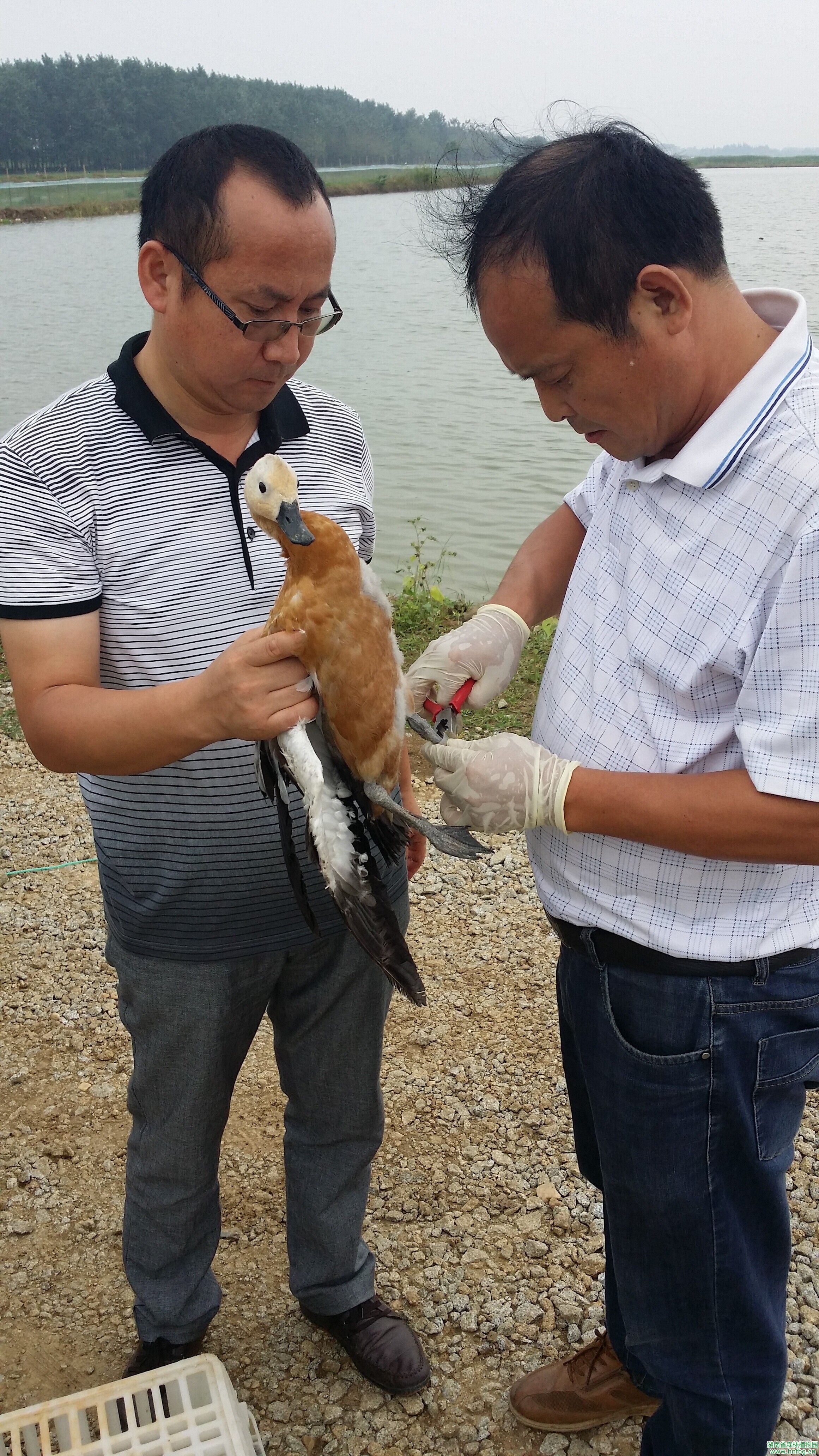 AG旗舰厅(中国游)官方网站