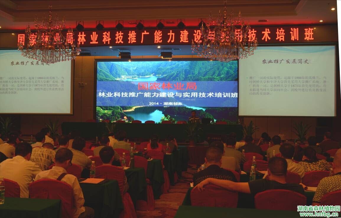 AG旗舰厅(中国游)官方网站