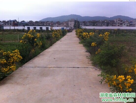AG旗舰厅(中国游)官方网站