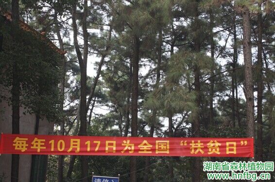 AG旗舰厅(中国游)官方网站