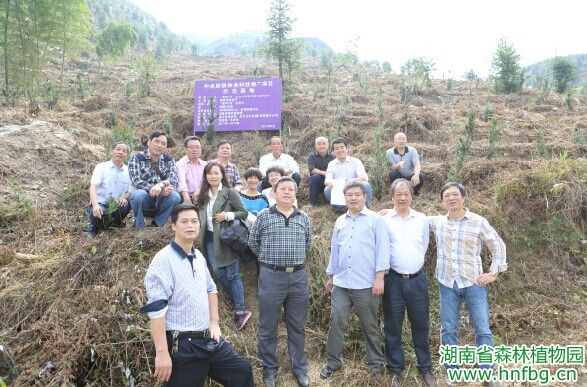 AG旗舰厅(中国游)官方网站