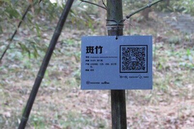 AG旗舰厅(中国游)官方网站