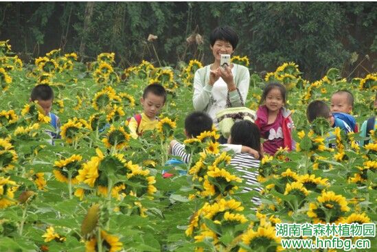 AG旗舰厅(中国游)官方网站