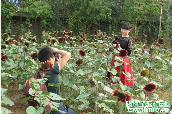 AG旗舰厅(中国游)官方网站