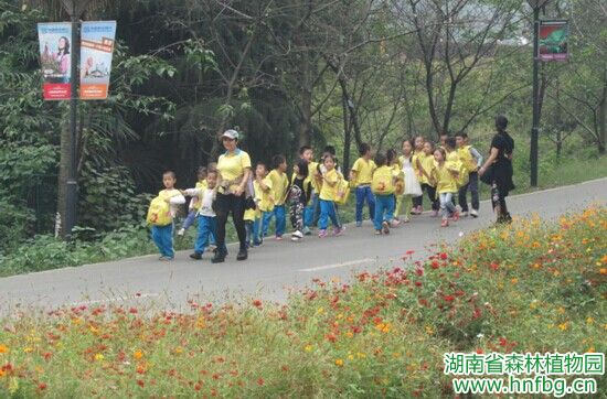 AG旗舰厅(中国游)官方网站