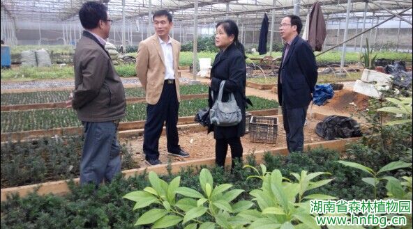 AG旗舰厅(中国游)官方网站