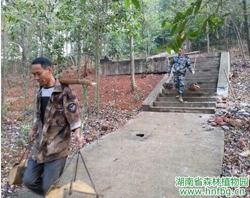AG旗舰厅(中国游)官方网站
