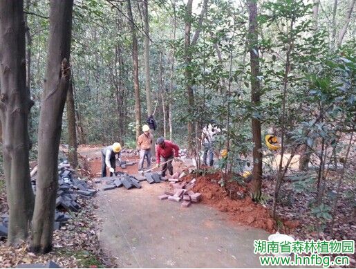 AG旗舰厅(中国游)官方网站