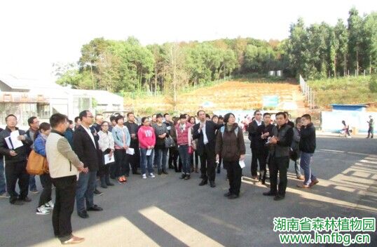 AG旗舰厅(中国游)官方网站