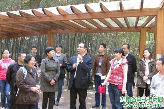 AG旗舰厅(中国游)官方网站