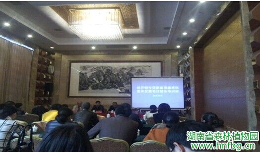 AG旗舰厅(中国游)官方网站