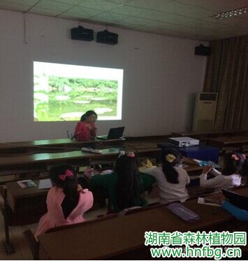 AG旗舰厅(中国游)官方网站