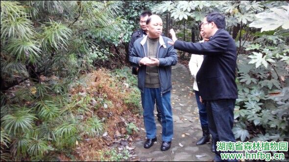 AG旗舰厅(中国游)官方网站