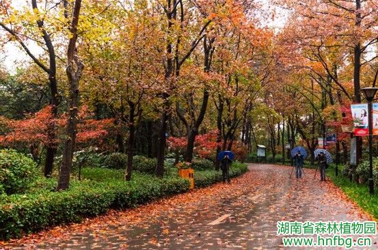 AG旗舰厅(中国游)官方网站