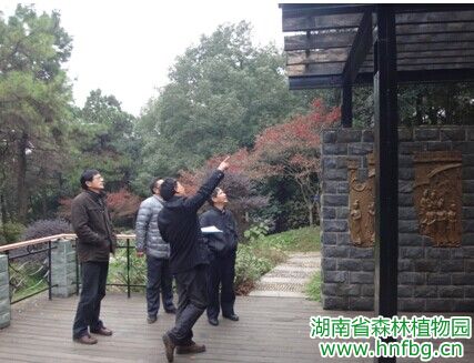 AG旗舰厅(中国游)官方网站