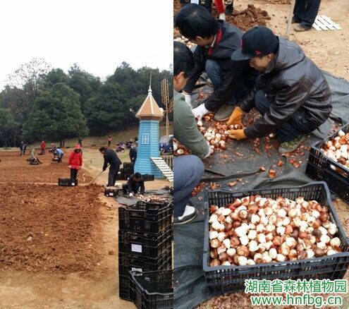 AG旗舰厅(中国游)官方网站
