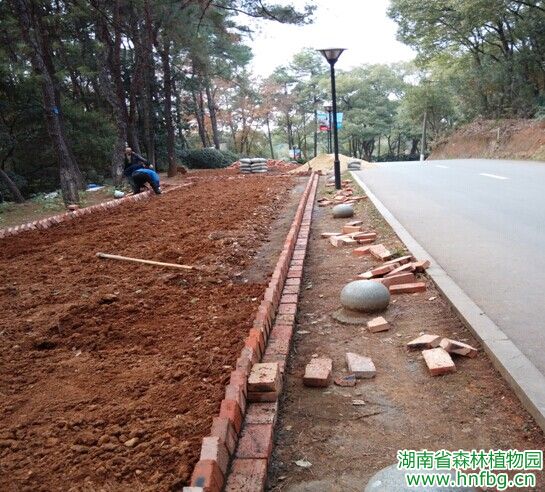 AG旗舰厅(中国游)官方网站