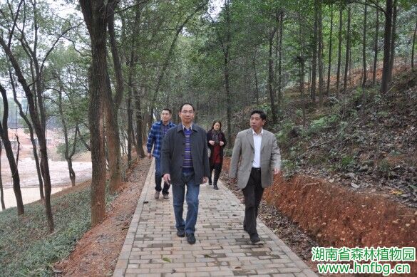 AG旗舰厅(中国游)官方网站