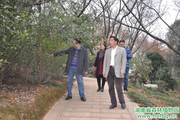 AG旗舰厅(中国游)官方网站