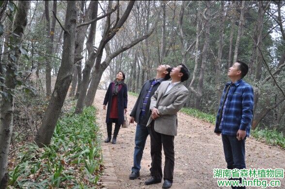 AG旗舰厅(中国游)官方网站
