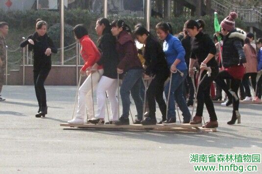 AG旗舰厅(中国游)官方网站
