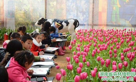 AG旗舰厅(中国游)官方网站