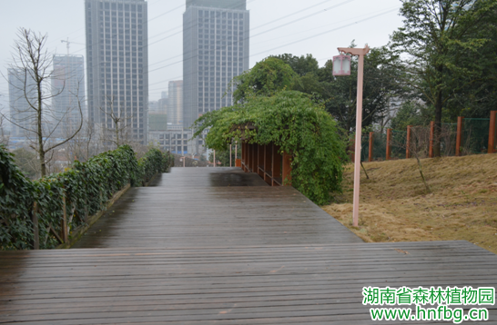 AG旗舰厅(中国游)官方网站