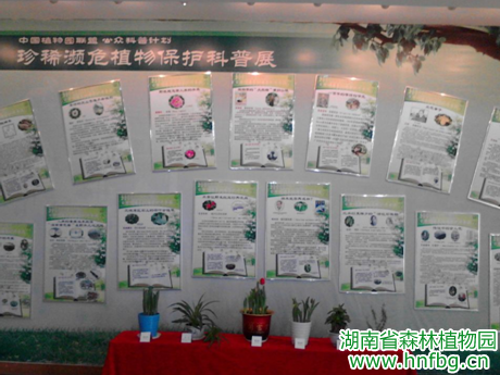 AG旗舰厅(中国游)官方网站