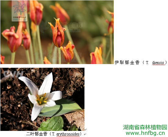 AG旗舰厅(中国游)官方网站