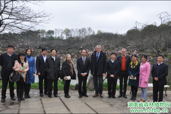 AG旗舰厅(中国游)官方网站