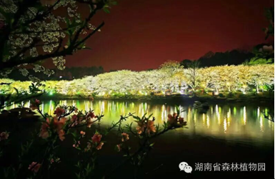 AG旗舰厅(中国游)官方网站