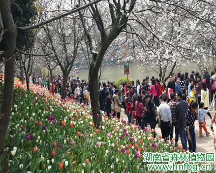 AG旗舰厅(中国游)官方网站